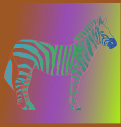 Zebra