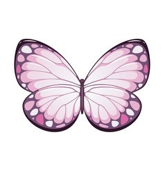 Pink Butterfly