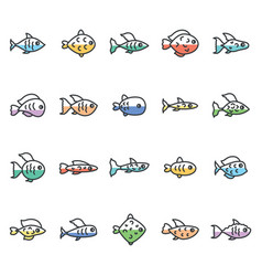 Colorful Fish On A White Background