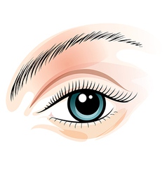 Open eye color icon Royalty Free Vector Image - VectorStock