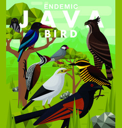 Endemic Java Birds Indonesia