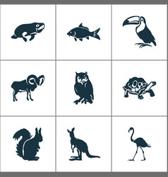 Zoo Icons Set With Flamingo Toucan Ovis