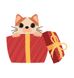 Christmas Cat In Gift