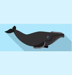 Right Whales Icon Flat Style