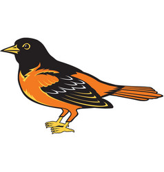 Oriole Logo Mascot