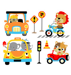 Funny Animals Cartoon On Vehicles