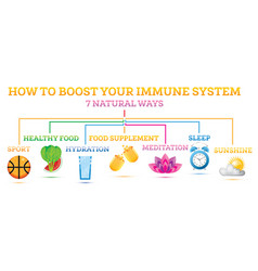 How To Boost Your Immune System Infographic