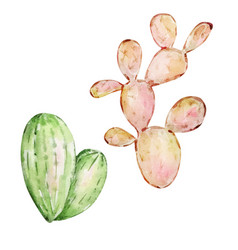 Watercolor Cactus Desert Mexican Plants