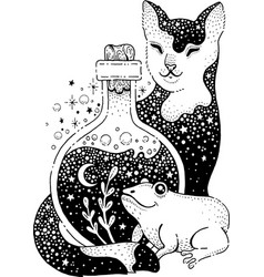 Witch Cat With Magic Potion In Bottle And Frog