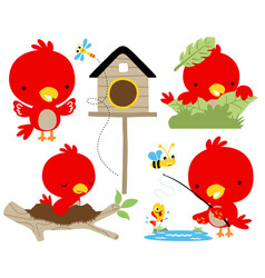 Set Of Red Bird Cartoon In Different Activity