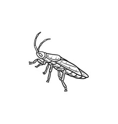 Boxelder Bug Hand Drawn