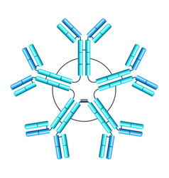 Pentameric Igm 3d Scheme Of Antibody