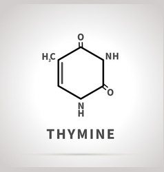 Chemical Structure Thymine One Four