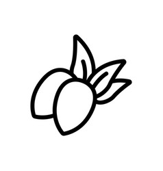 Jojoba Berries With Leaves Icon Outline