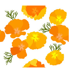 California Poppies