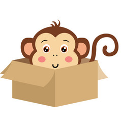 Cute Monkey Peeking Out In Cardboard Box