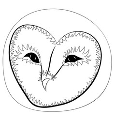 Barn Owl Face Drawn