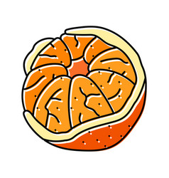 Peeled Mandarin Color Icon