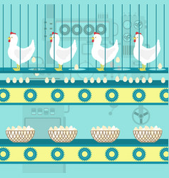 Chicken Egg Factory