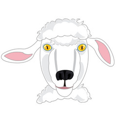 Portrait Home Animal Sheep On White Background