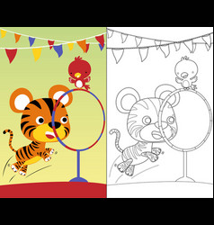 Funny Tiger With Little Bird In Circus Show