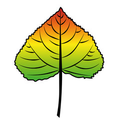 Poplar Leaf Dark Orange To Green Colour