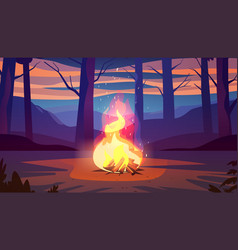 Campfire In Night Forest Hiking Camping Concept