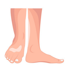 Weban Icon Of Girl Feet In Flat Style