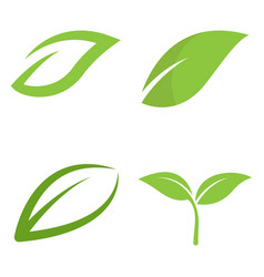 Leaf Logo