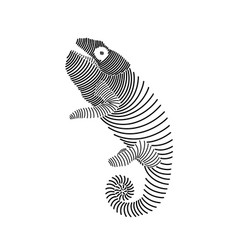 Simple Line Art Of A Chameleon 3