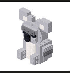 Gray Koala In Isometry