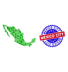 Bicolor Mexico City Textured Rubber Stamp