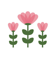 Pink Flowers On White Background