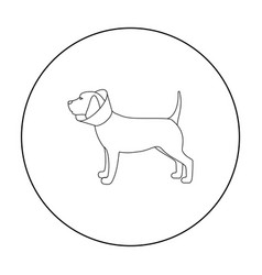 Dog With Elizabethan Collar Icon In Outline Style