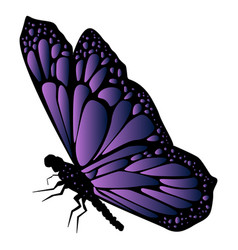 Detailed Violet Butterfly Icon