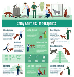 Stray Animals Infographics Set