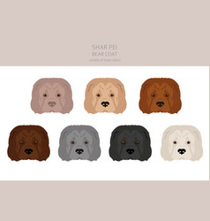 Shar Pei Bear Coat Clipart Different Poses Coat