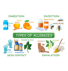 Types Of Allergies Medical Infographic