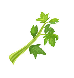 Celery Fresh Cartoon