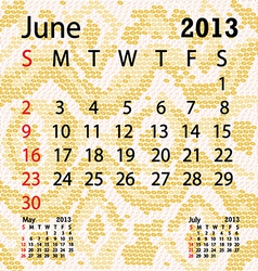 June 2013 Calendar Albino Snake Skin