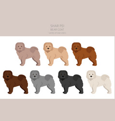 Shar Pei Bear Coat Clipart Different Poses Coat