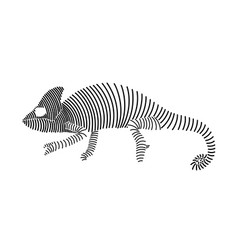 Simple Line Art Of A Chameleon 1