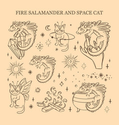 Fire Salamander And Space Cat Astrologic