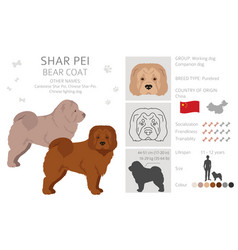 Shar Pei Bear Coat Clipart Different Poses Coat