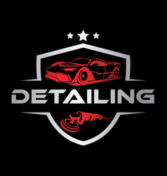 Car Auto Detailing Servis Logo Design Template