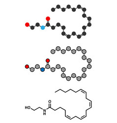 Anandamide Endogenous Cannabinoid