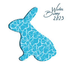 Year Of The Water Rabbit