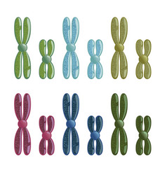 Chromosomes