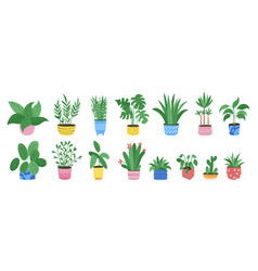 House Plants Set Cute Pot Decor Flowerpots