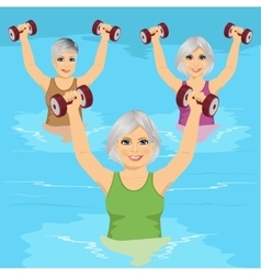 Senior Women Making Aqua Gym Exercises